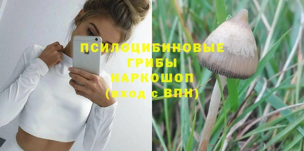 стафф Приозерск