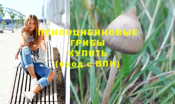 Альфа ПВП Пролетарск