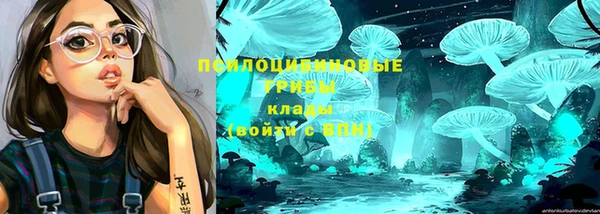 метадон Рославль